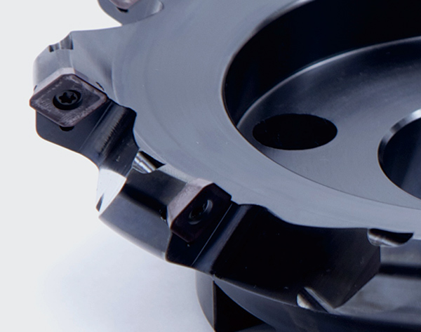 飞雪 局部图展示 飞雪 局部图展示