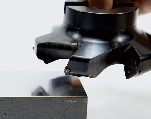 飞雪 局部图展示 飞雪 局部图展示